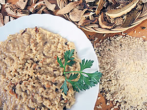 risotto ai funghi